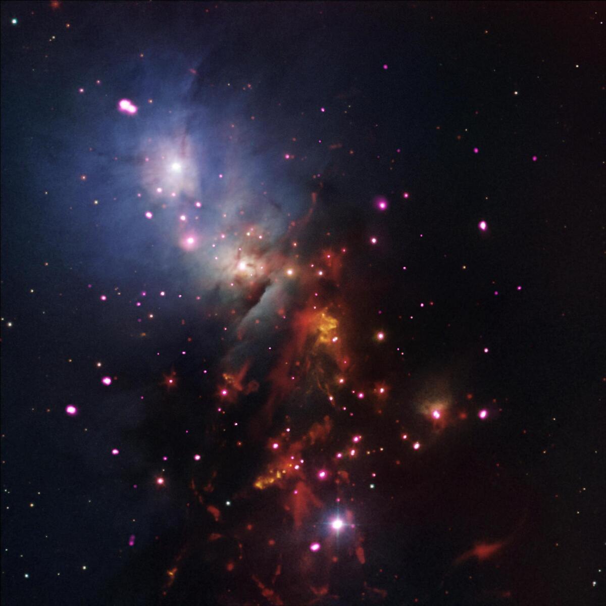 Chandra's Deep Look at NGC 6540: How a Mysterious X-Ray Flare Became Three Distinct Sources
