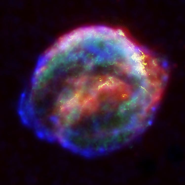 Neutrino Flavor Change May Decide Which Massive Stars Collapse Into Black Holes