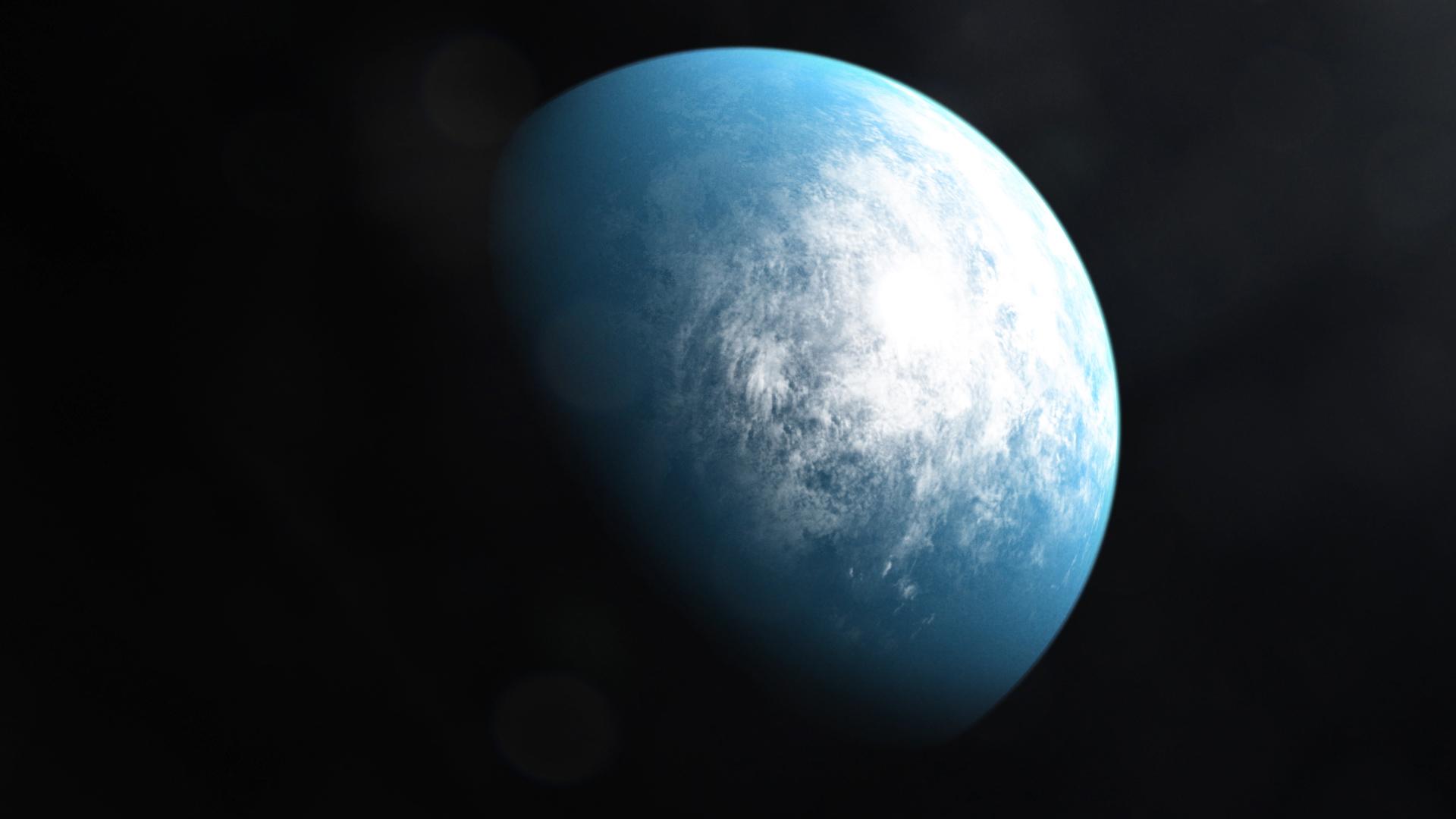 Planetary Systems Sort Into Two Families, and the Host Star Decides Which